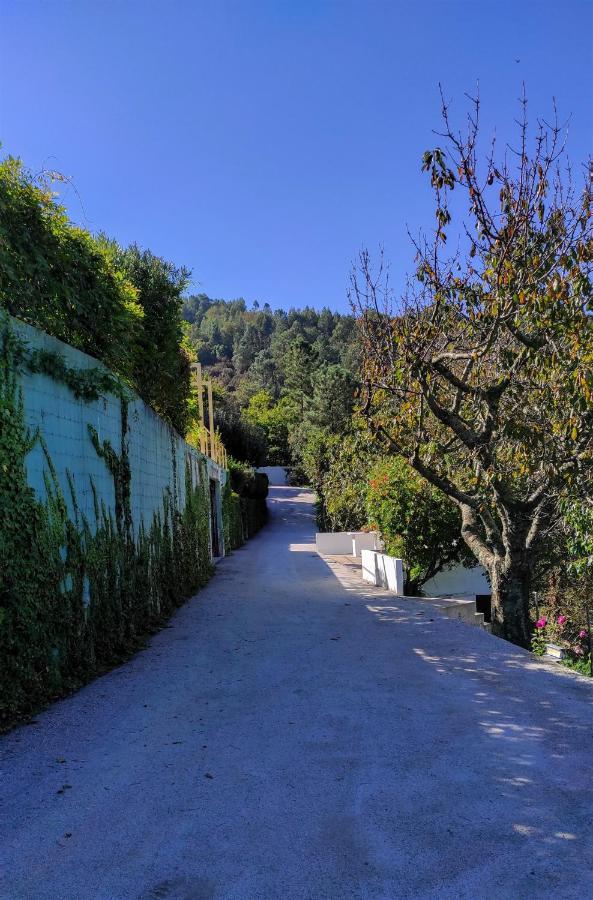 Pera Da Serra - Turismo No Espaco Rural Lousã Екстериор снимка
